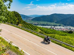 Waldviertel © Alexander Seger Motorradfahrer auf kurviger Landstraße mit Weinbergen und Fluss im Hintergrund