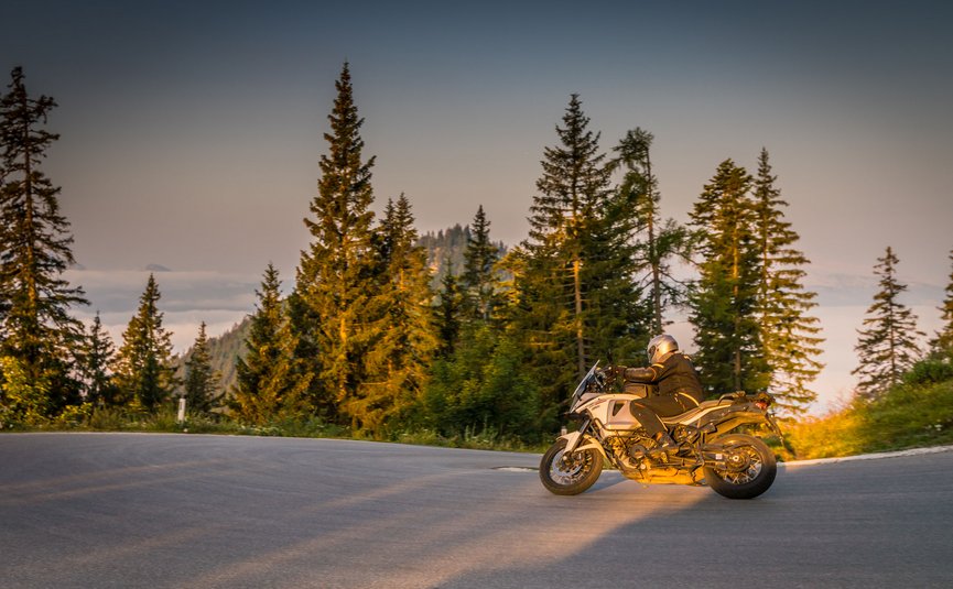 Motorradfahrer auf kurviger Straße vor Nadelbäumen bei Sonnenuntergang