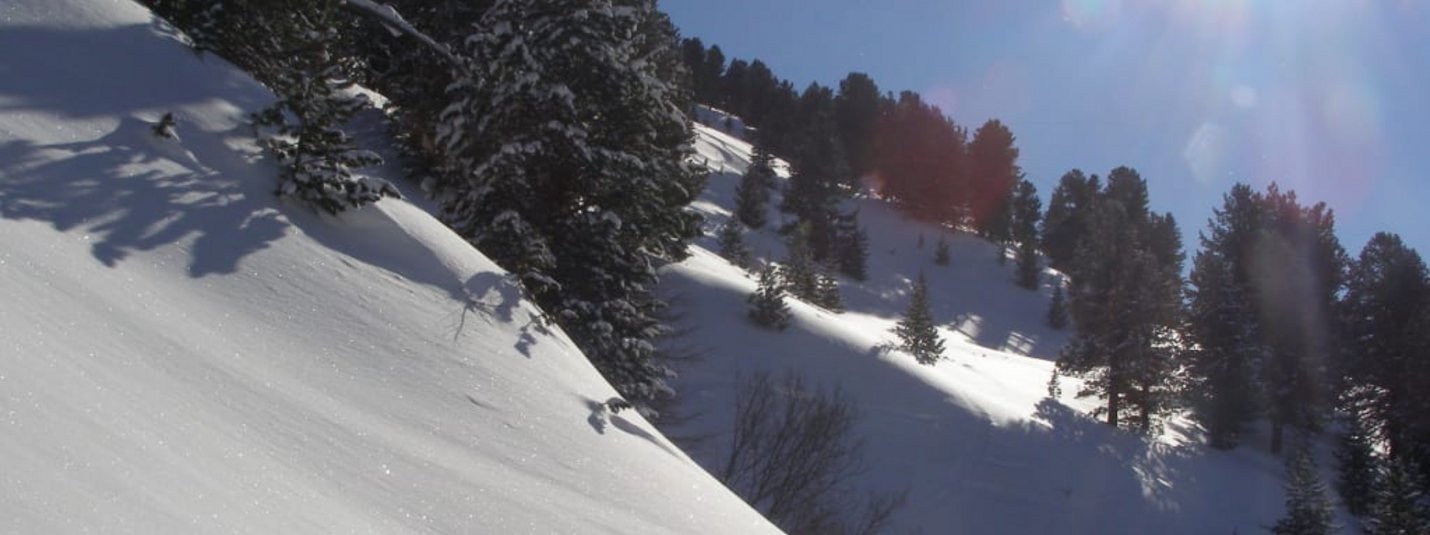 Sonnenbeschienene, schneebedeckte Berghänge mit Tannenbäumen