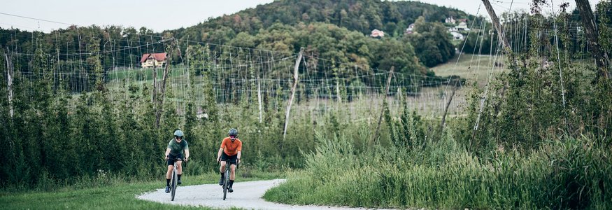 Zwei Radfahrer fahren auf einem Feldweg durch eine grüne Landschaft mit Hügeln