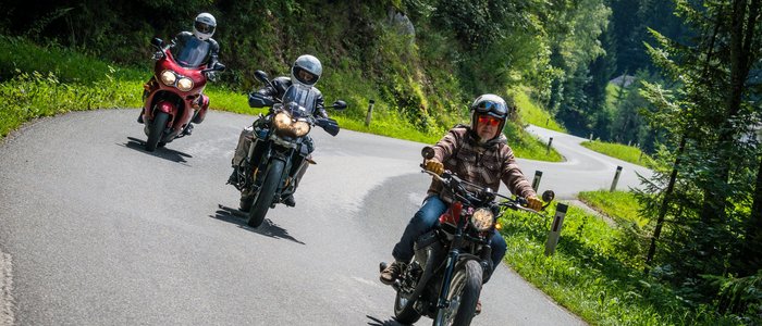 Drei Motorräder fahren auf einer kurvigen Bergstraße durch Wald