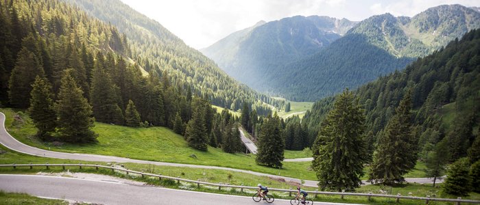 So geht Gravelbike-Urlaub im Hotel Cristallo
 © Heiko Mandl Zwei Radfahrer auf Bergstraße mit Tannenwald und Bergen im Hintergrund