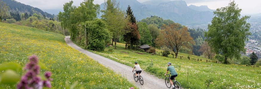 Zwei Radfahrer auf einem Weg durch eine blühende Frühlingslandschaft mit Bergen