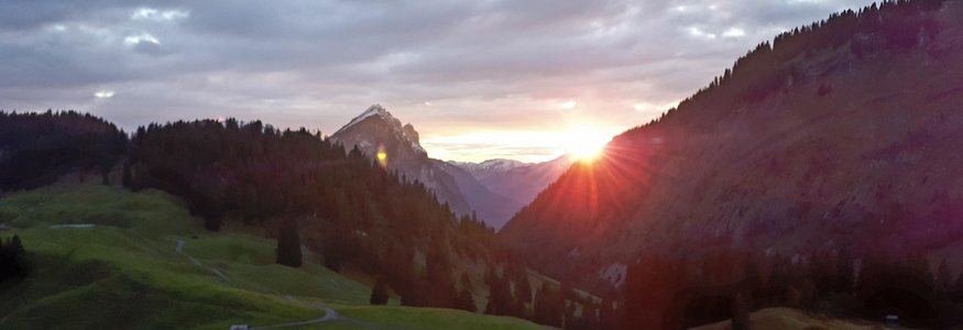 Gravelbikeurlaub im Hotel Rössle
 © Monika Albrecht - Au Schoppernau Tourismus Sonnenuntergang in einem Tal mit Bergen und Weiden mit Kühen