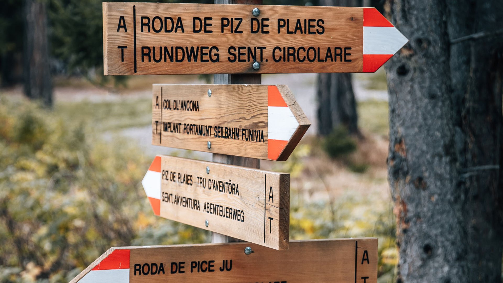 Gravel-Wochenende in San Vigilio © Jens Scheibe Mehrere hölzerne Wanderwegweiser im Wald mit Richtungen und Markierungen