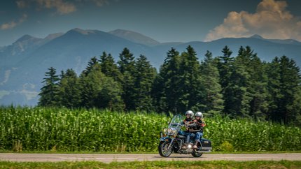 Zwei Motorradfahrer fahren auf Landstraße vor Wald und Bergen