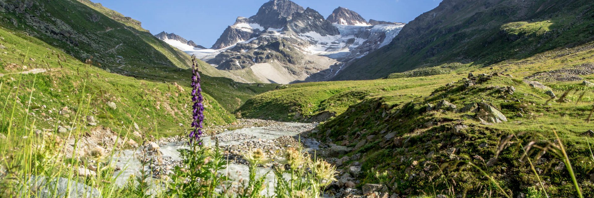 Arlberg – Dreiländereck © Montafon Tourismus GmbH - Stefan Kothner Gebirgslandschaft mit Fluss und Wildblumen unter klarem Himmel