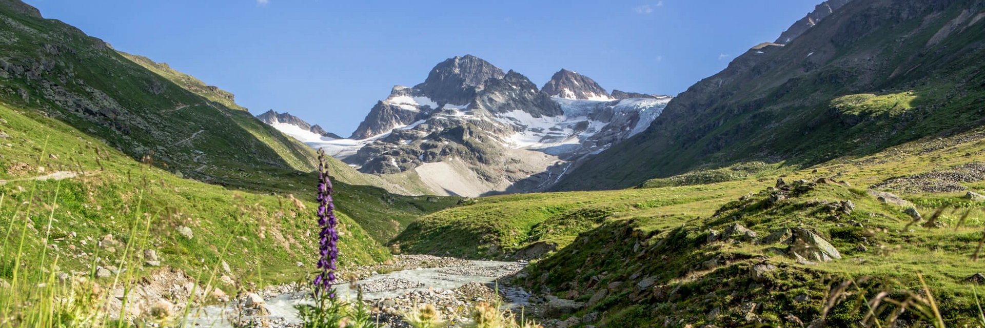 Gebirgslandschaft mit Fluss und Wildblumen unter klarem Himmel