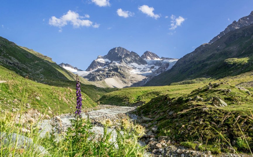 Motorradurlaub im Montafon – Silvretta © Montafon Tourismus GmbH - Stefan Kothner Gebirgslandschaft mit Fluss und Wildblumen unter klarem Himmel