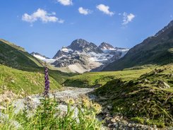 Montafon – Silvretta © Montafon Tourismus GmbH - Stefan Kothner Gebirgslandschaft mit Fluss und Wildblumen unter klarem Himmel