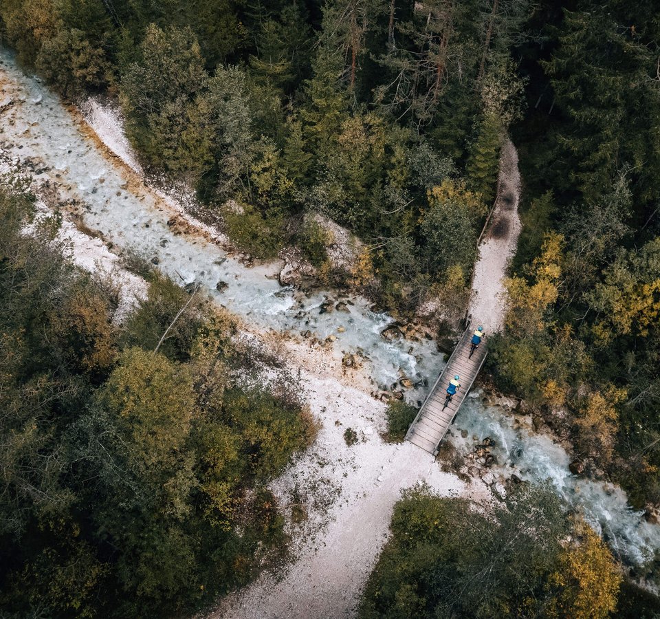 Prädikat: Außergewöhnlich © Jens Scheibe Luftaufnahme von Wanderern auf einer Brücke über einen Fluss im Wald