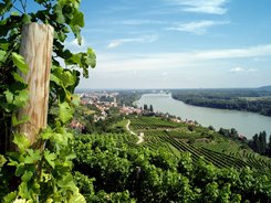 Wachau © Winzer Krems - K.M. Westermann Blick auf eine Weinberglandschaft entlang eines Flusses mit Dorf und Brücke