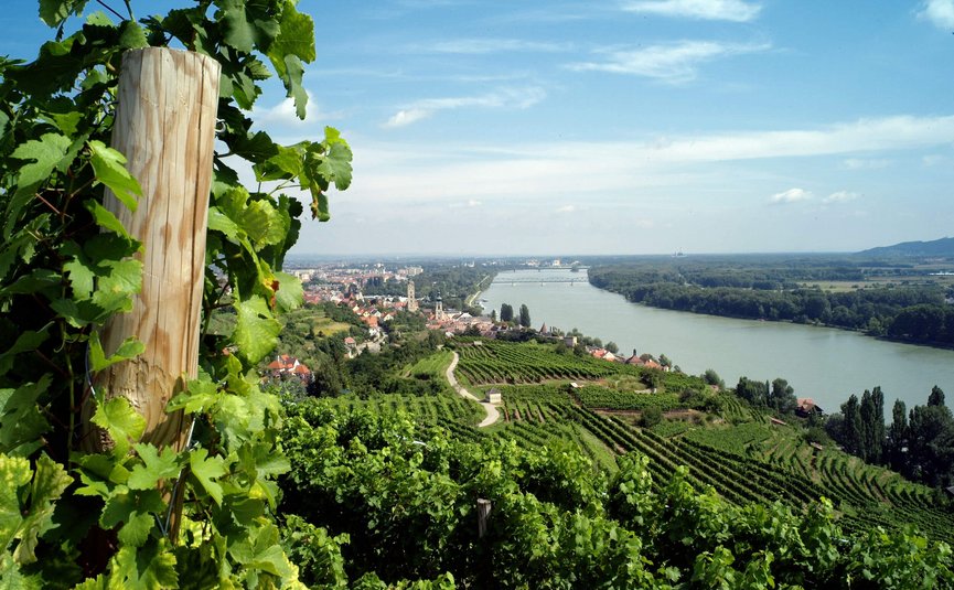 Blick auf eine Weinberglandschaft entlang eines Flusses mit Dorf und Brücke