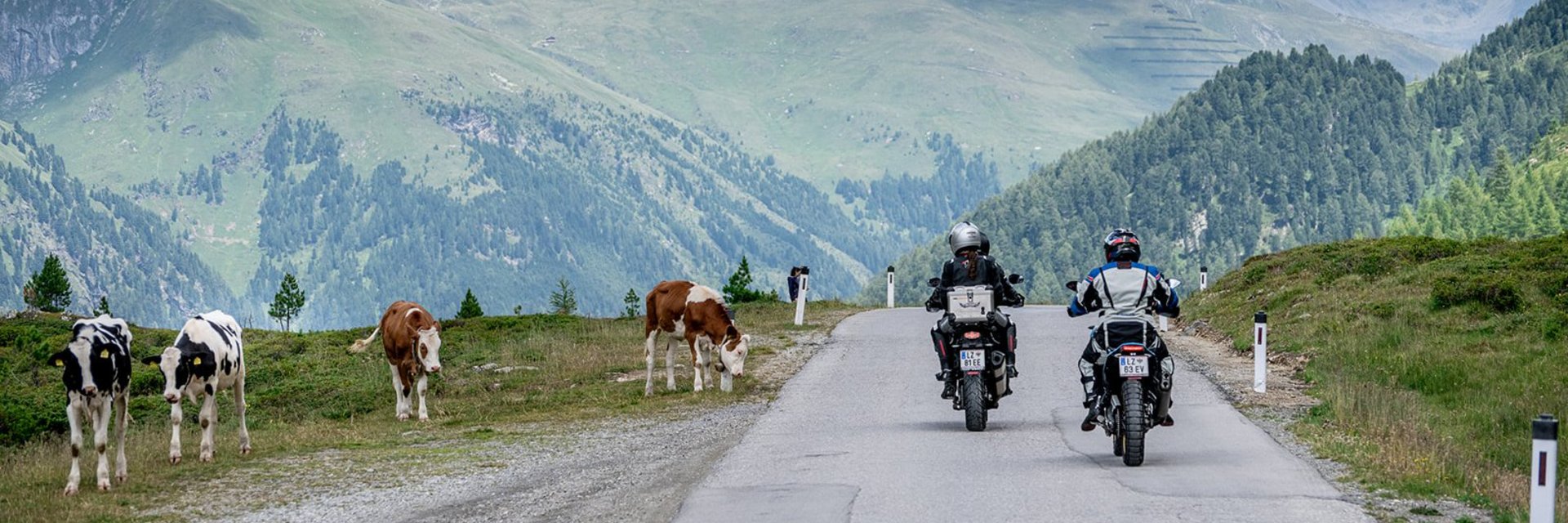 DAS UNTERRAIN lifestyle hotel **** © Armin Kleinlercher Motorradfahrer fahren auf Bergstraße neben grasenden Kühen unter bewölktem Himmel