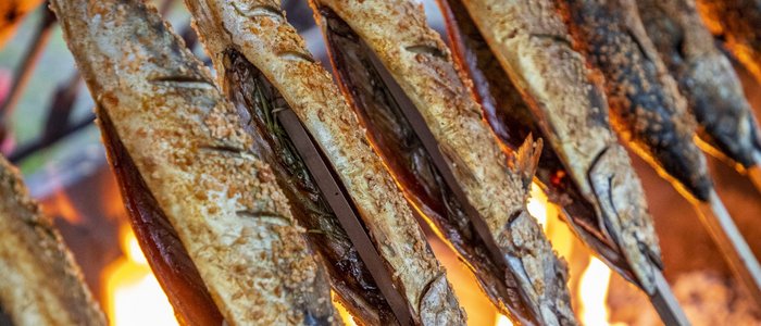 Gegrillte Fische auf Spießen über offenem Feuer