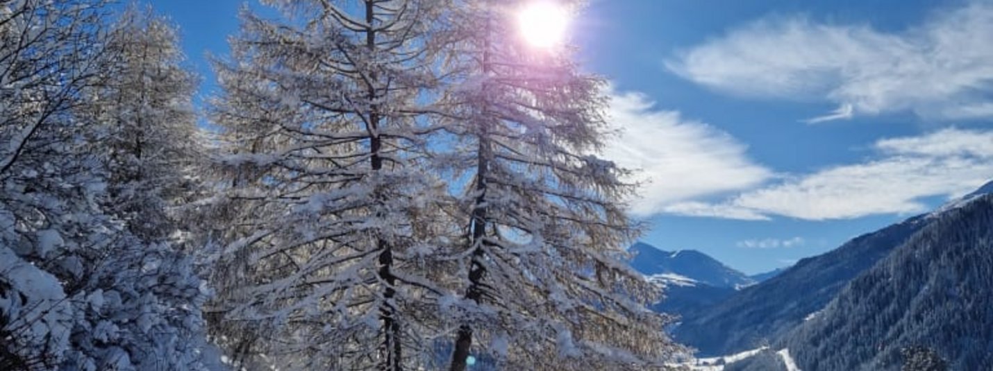 Winterstart im Alpetta Winterlandschaft mit schneebedecktem Pfad, Baum und Bergen im Sonnenlicht