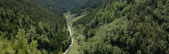 Motorradurlaub im Burgenland © Leberzipf Didi Tal mit Wald und Straße zwischen bewaldeten Bergen unter blauem Himmel
