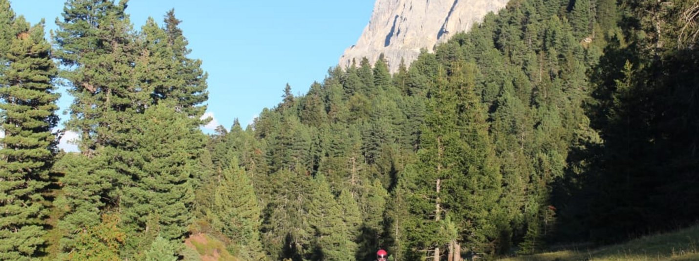7 Tage Südtirol Motorrad Urlaub Motorradfahrer auf Bergstraße mit Tannen und Felsen im Hintergrund