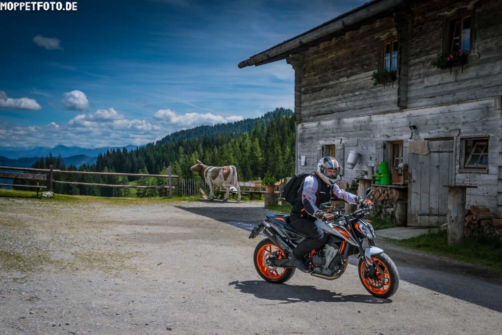 Motorradfahrer vor einer Berghütte mit Kuh und Wald im Hintergrund