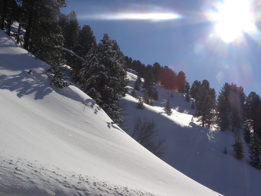 Pulverschnee-Pauschale Sonnenbeschienene, schneebedeckte Berghänge mit Tannenbäumen