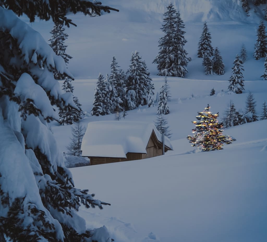 Schneebedeckte Hütte und bewaldeter Hang mit beleuchtetem Weihnachtsbaum