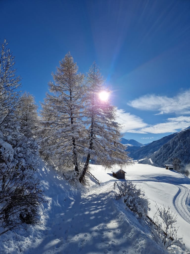 Winterlandschaft mit schneebedecktem Pfad, Baum und Bergen im Sonnenlicht
